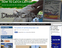 Tablet Screenshot of discovercatfishing.com